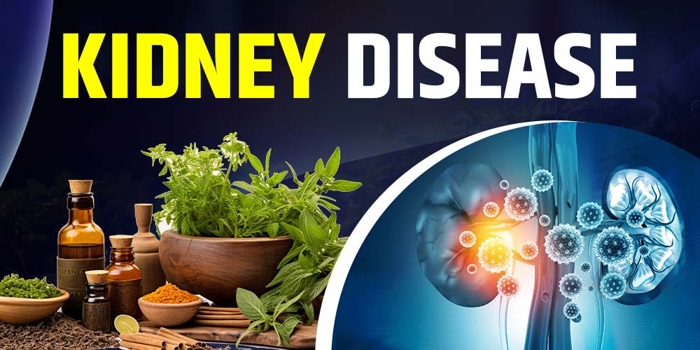 ayurvedic-kidney-treatment